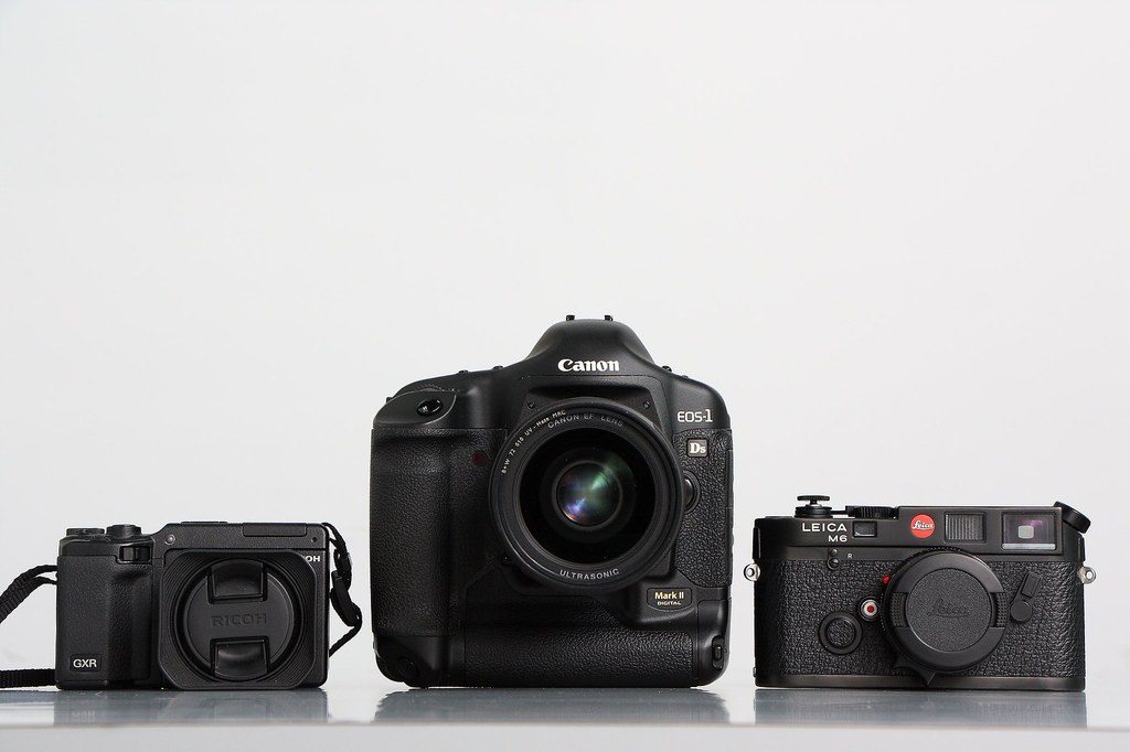 Photograph