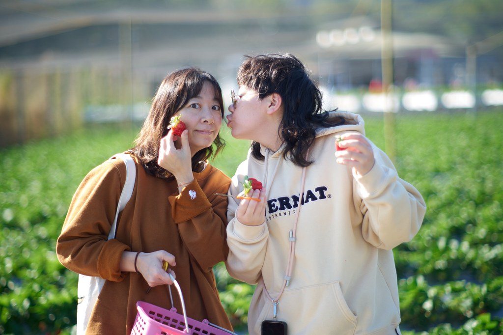 Strawberry@2023year end