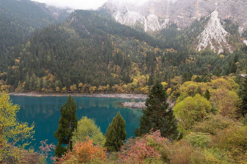 Chengdu & Jiuzhaigou